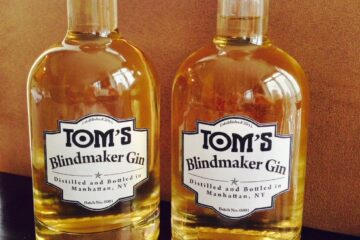 how to start a gin brand